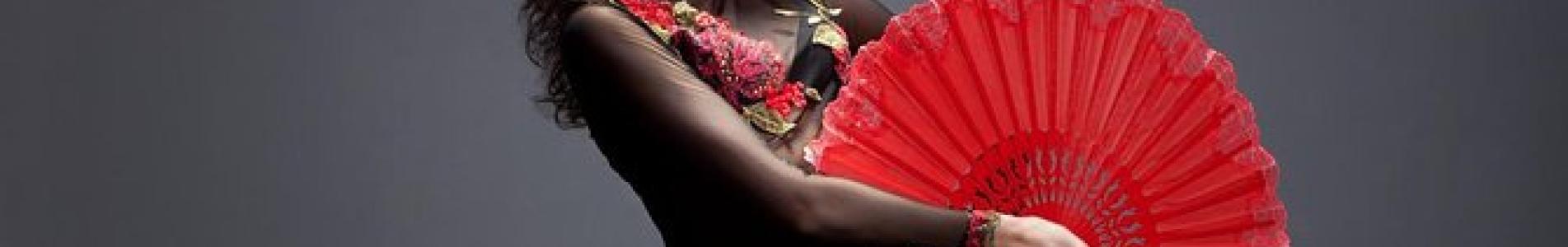 municipio de san isidro, tercera edad, adultos mayores, puerto libre, taller, online, juegos, memotest, memoria, ejercicio, ejercicios, clases, virtual