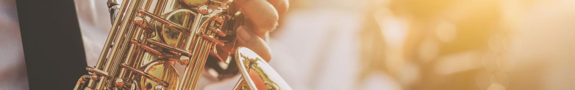 municipio de san isidro, tercera edad, adultos mayores, puerto libre, taller, online, juegos, memotest, memoria, ejercicio, ejercicios, clases, virtual