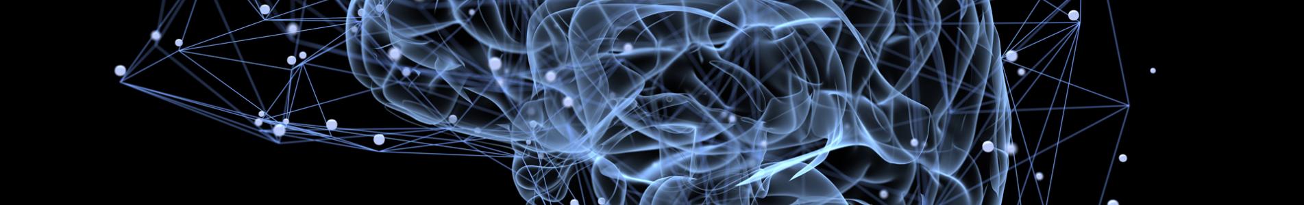 MULTIESTIMULACION MEMORIA CURSO CULTURA SAN ISIDRO municipio de san isidro, cultura, cursos, talleres, curso, taller, seminario, inscripcion, online, virtual