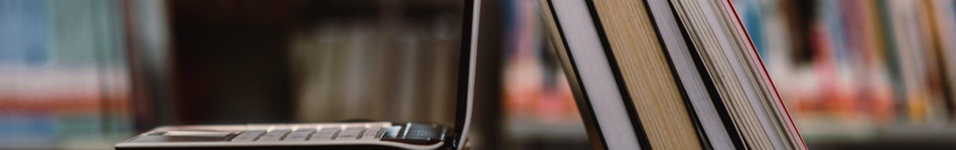 ANÁLISIS LITERARIO CURSO CULTURA SAN ISIDRO municipio de san isidro, cultura, cursos, talleres, curso, taller, seminario, inscripcion, online, virtual