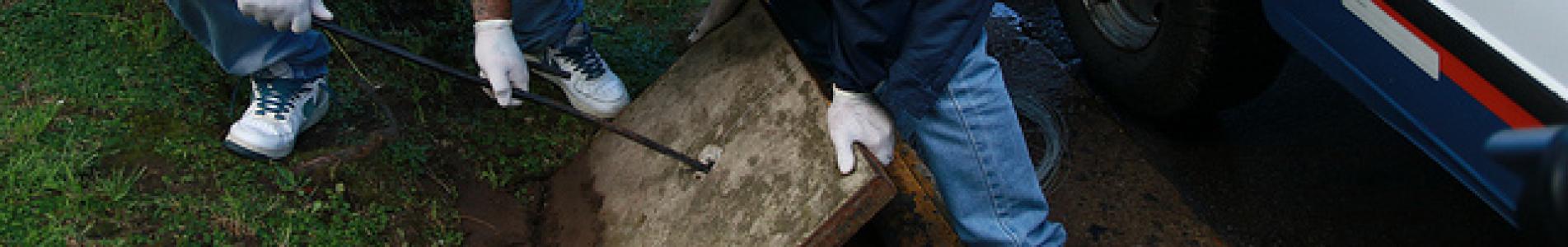 Operativos de desratización Operativos de desratización, Municipio de San Isidro