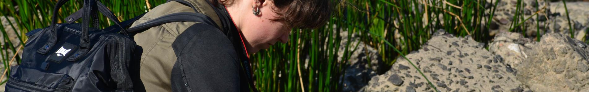 municipio de san isidro, cultura, cursos, talleres, curso, taller, seminario, inscripcion, online, virtual