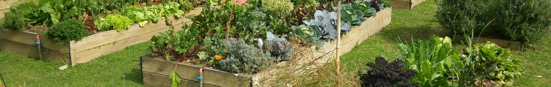 municipìo de san isidro, cultura, cursos, talleres, taller, curso, seminario, seminarios, capacitacion