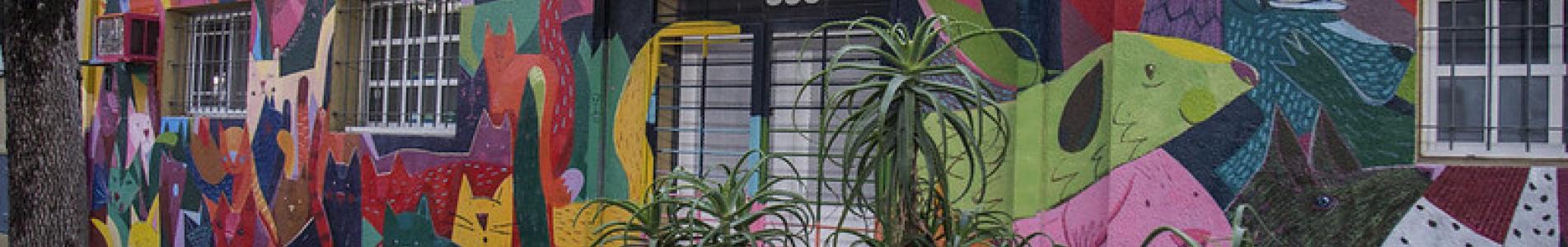 Municipio de San Isidro, Zoonosis, Renovación, Pintura, Colores, Mascotas, Perros, Gatos