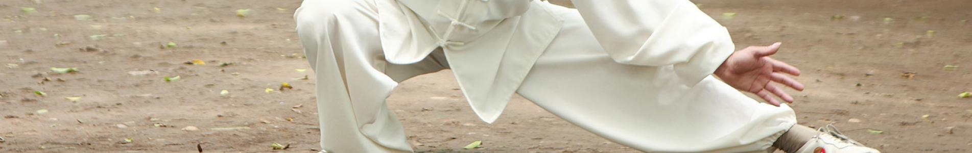 TAI CHI CHUAN CURSO SAN ISIDRO municipio de san isidro, cultura, cursos, talleres, curso, taller, seminario, inscripcion, online, virtual