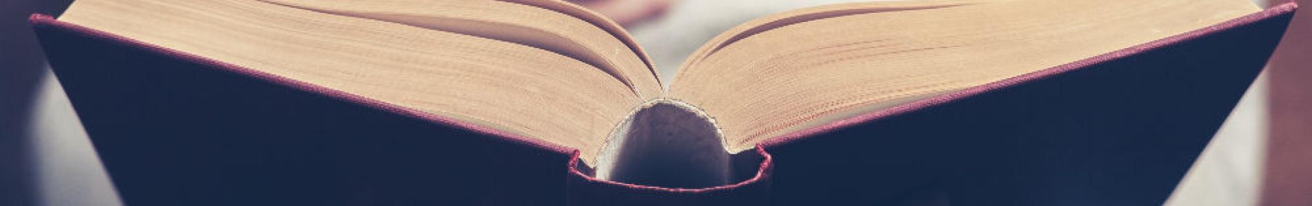 TALLER LITERARIO CURSO CULTURA SAN ISIDRO municipio de san isidro, cultura, cursos, talleres, curso, taller, seminario, inscripcion, online, virtual