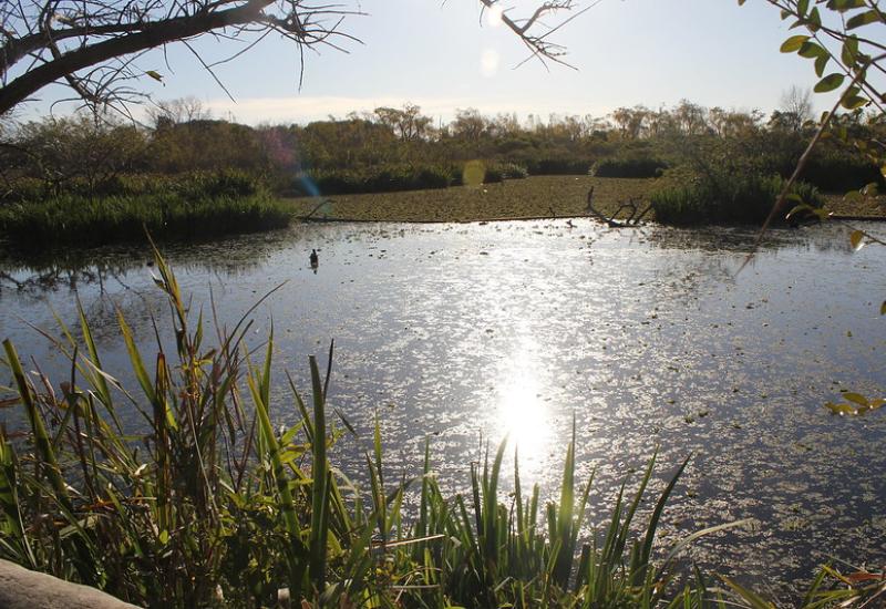 RIBERA NORTE RIBERA NORTE, MUNICIPIO DE SAN ISIDRO