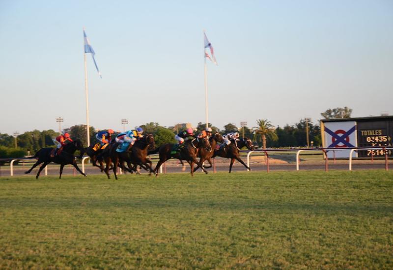 PREMIOS CARLOS PELLEGRINI