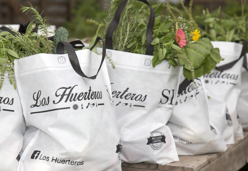 HUERTEROS DE PUERTO LIBRE, MUNICIPIO DE SAN ISIDRO