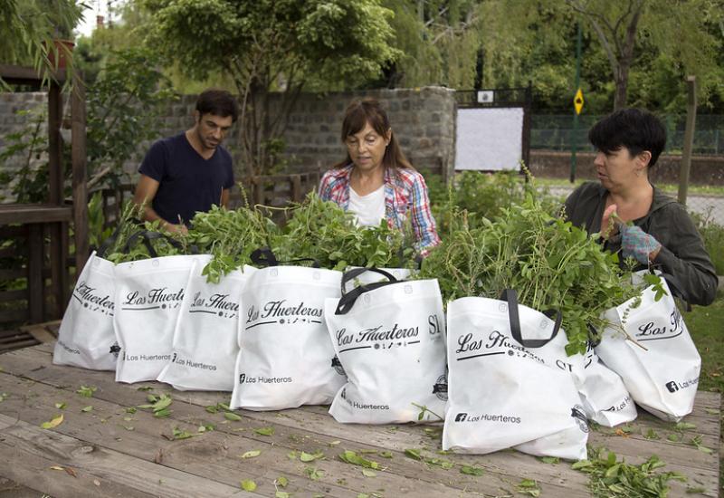 HUERTEROS DE PUERTO LIBRE, MUNICIPIO DE SAN ISIDRO