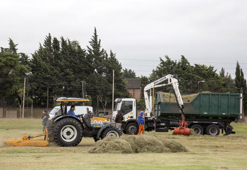 PREVENCIÓN DEL DENGUE