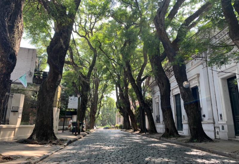 municipio de san isidro, obras publicas, infraestructura, espacio publico, libertador, obras, calles, adoquines