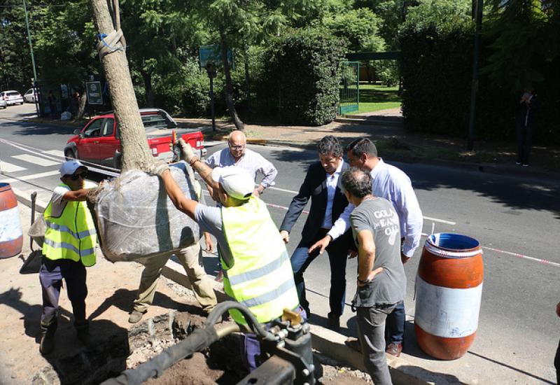 BULEVAR DE AV. MÁRQUEZ , MUNICIPIO DE SAN ISIDRO