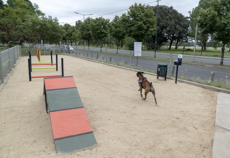 municipio de san isidro, espacio publico, canil, espacio de juego, perros, perro, juego, paseo, bicicletas