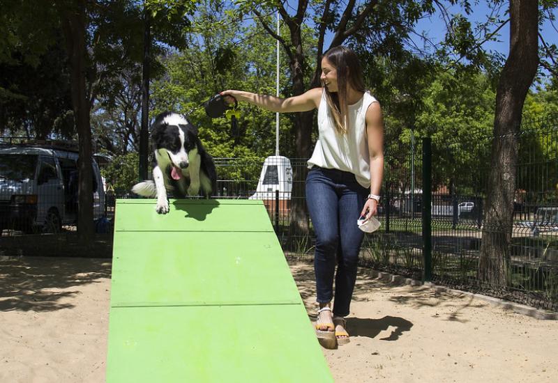 municipio de san isidro, canil, inauguracion, perros, perro, juegos, entrenarmiento, nuevo, plaza almirante brown