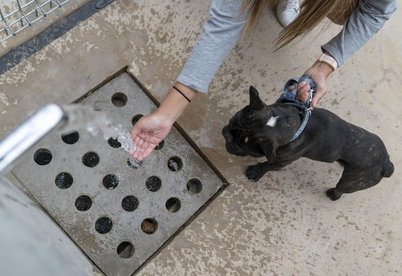 municipio de san isidro, espacio publico, canil, espacio de juego, perros, perro, juego, paseo, bicicletas