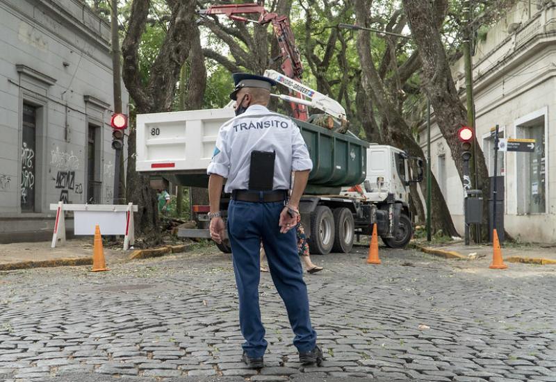 municipio de san isidro, infraestructura, espacio publico, casco historico, renovacion, tipas, adoquines, calles, desvio, cortes