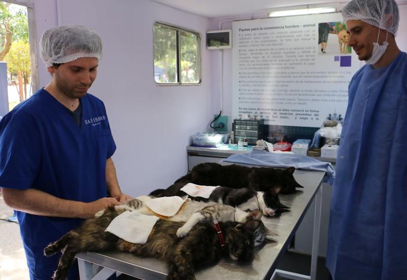 PUESTO MÓVIL DE ZOONOSIS SAN ISIDRO