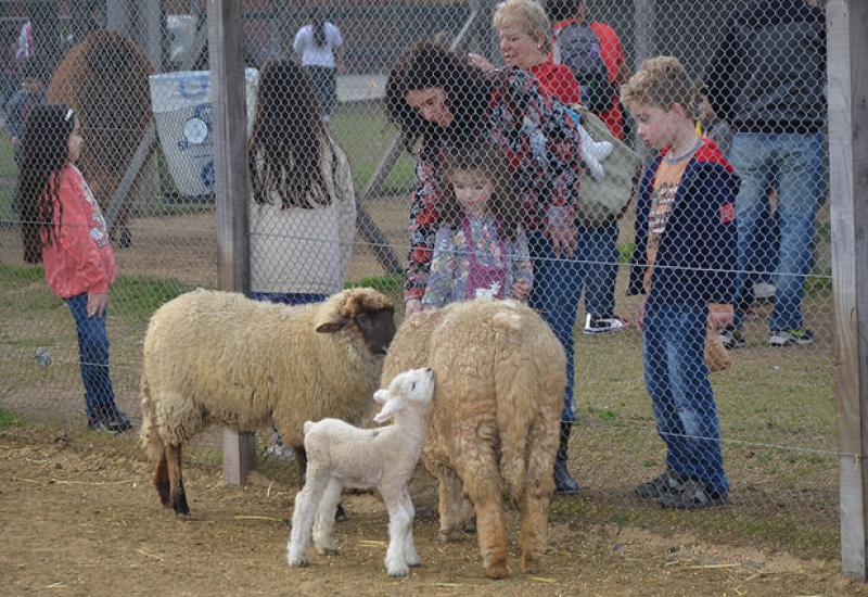 CHACRA EDUCATIVA SAN ISIDRO
