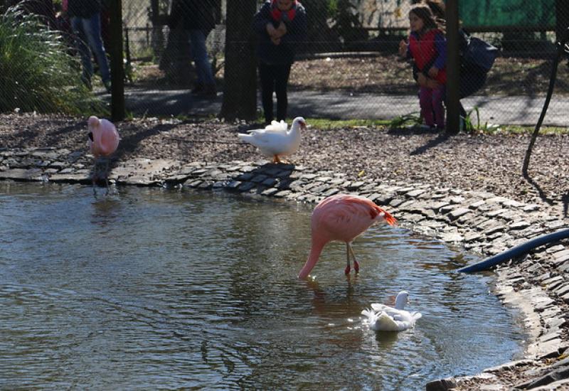 CHACRA SAN ISIDRO LABRADOR, MUNICIPIO DE SAN ISIDRO