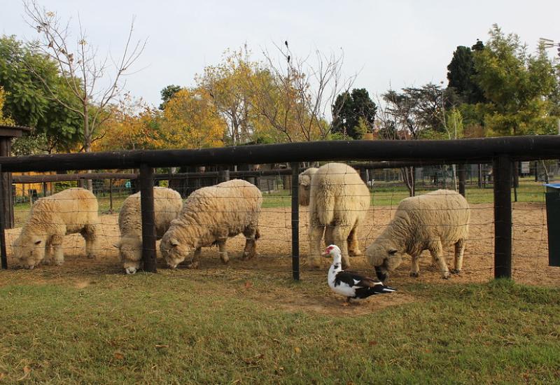 LA CHACRA SAN ISIDRO LABRADOR