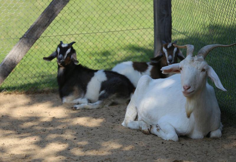 Fin de Semana San Isidro
