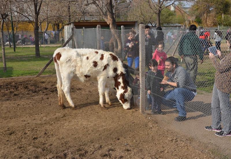 CHACRA SAN ISIDRO LABRADOR, MUNICIPIO DE SAN ISIDRO