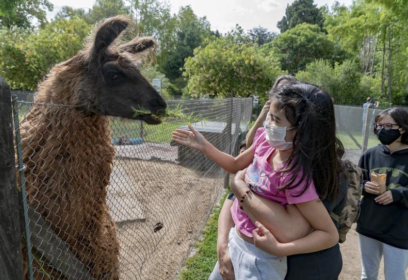 municipio de san isidro, chacra educativa, huerta, animales, granja, visita, apertura