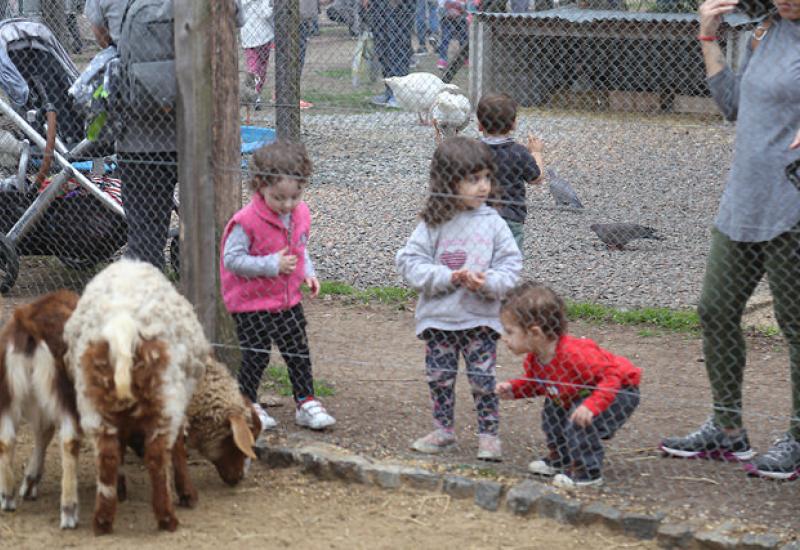 ACTIVIDADES PARA EL FIN DE SEMANA EN SAN ISIDRO