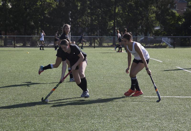 municipio de san isidro, deportes, deporte, rugby, hockey, casi, club, boya, campos de deporte, bajo de san isidro, protocolos