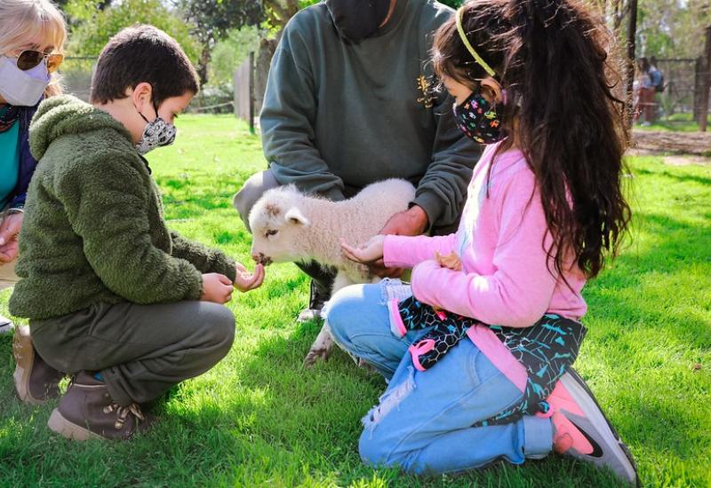 DÍA DE LA PRIMAVERA EN LA CHACRA