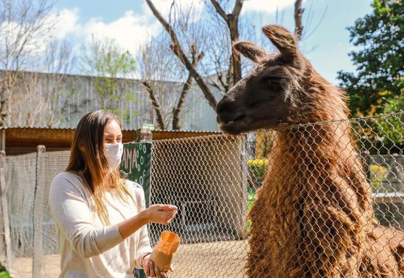 DÍA DE LA PRIMAVERA EN LA CHACRA