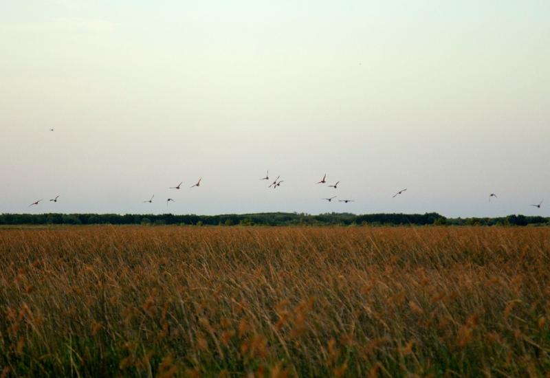 municipio de san isidro, medio ambiente, dia de, sustentabilidad, sustentable, espacio publico, humedales, isla, delta