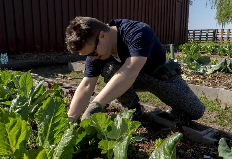 FABRIZIO LAROCCA, MUNICIPIO DE SAN ISIDRO