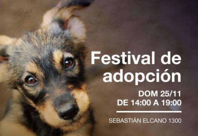 Festival de adopción festival de adopción, Municipio de San Isidro