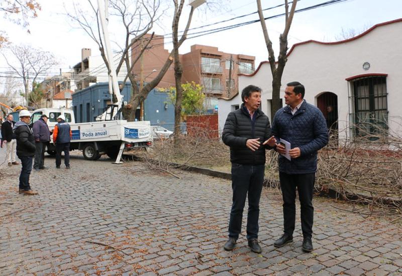 CAMPAÑA ANUAL DE PODA, SAN ISIDRO