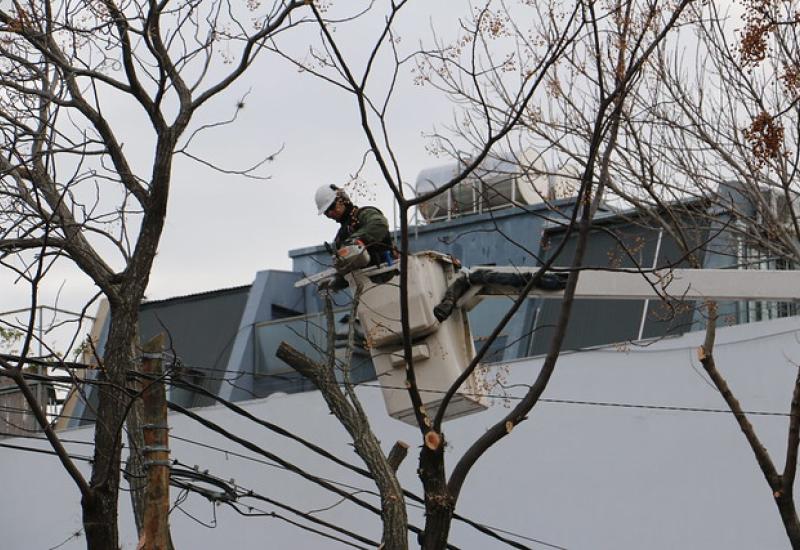 CAMPAÑA ANUAL DE PODA, SAN ISIDRO