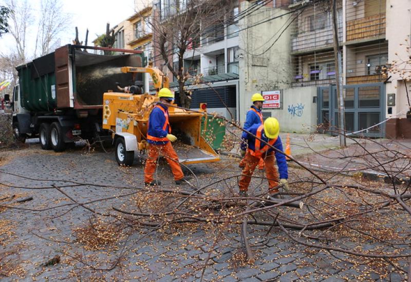 CAMPAÑA ANUAL DE PODA, SAN ISIDRO