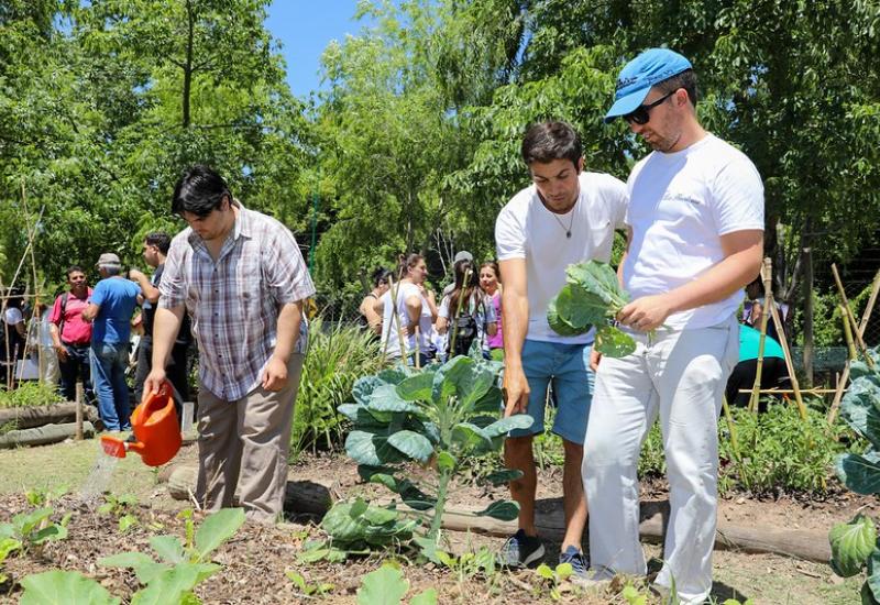 PROGRAMA MUNICIPAL DE HUERTAS ORGÁNICAS, MUNICIPIO DE SAN ISIDRO
