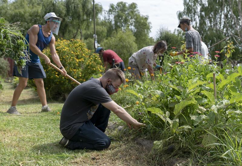 municipio de san isidro, integracion comunitaria, huerta agroecologica, semillas, plantas