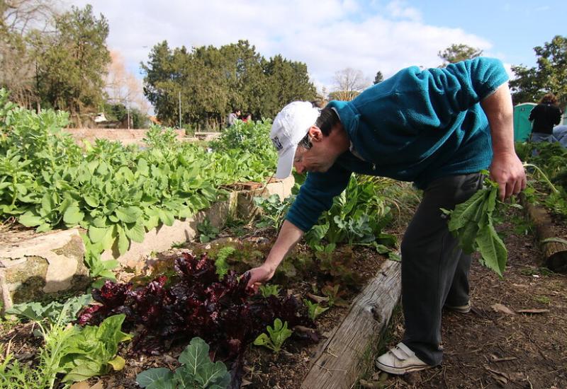 municipio de san isidro, huerta municipal orgánica, huerteros, dicapacidad, inclusión laboral, ruka garden, restaurante, comida, verduras, plantas aromáticas