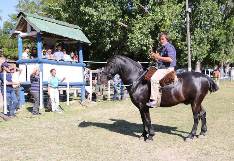 JORNADA DE SANIDAD Y BUEN TRATO EQUINO, MUNICIPIO DE SAN ISIDRO