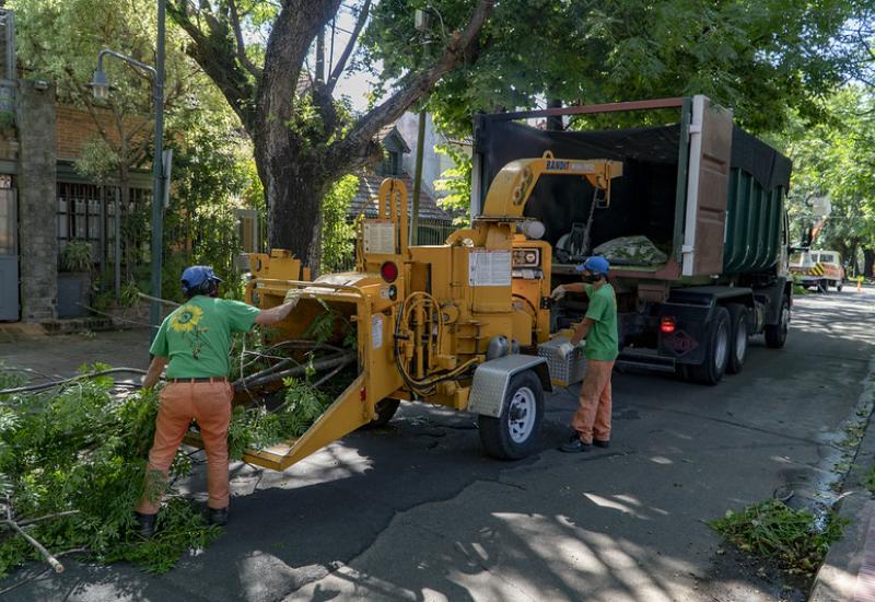 municipio de san isidro, espacio publico, luminarias, arboles, naturaleza, poda