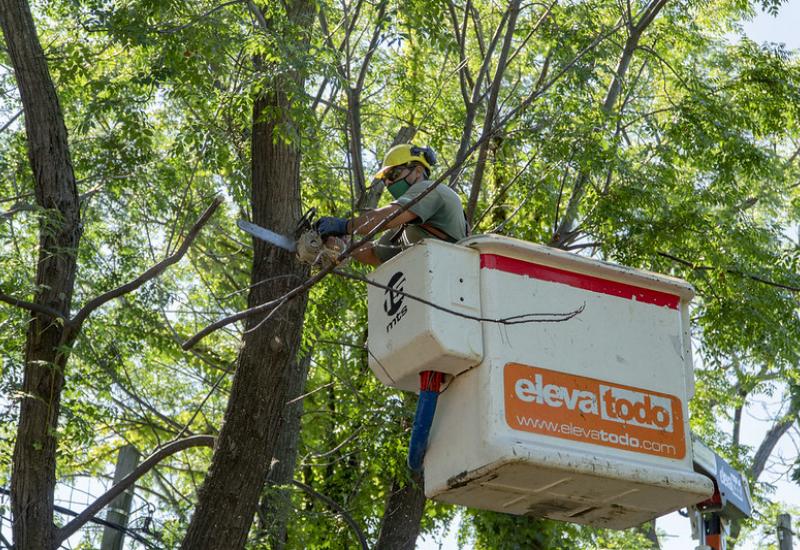 municipio de san isidro, espacio publico, luminarias, arboles, naturaleza, poda