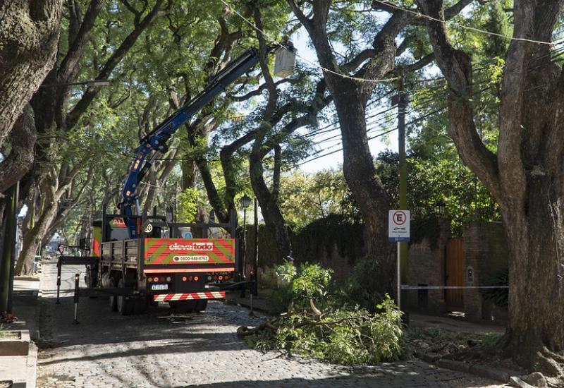 municipio de san isidro, espacio publico, casco historico, tipas, adoquines