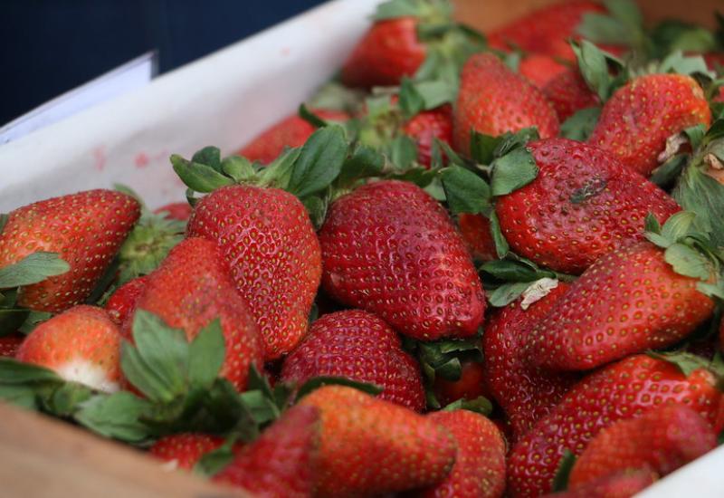 municipio de san isidro, mercado natural, parque publico del puerto, feria, exposicion, ecologico, furtas, verduras, sustentable