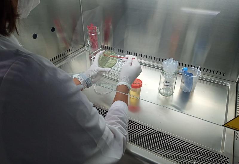 municipio de san isidro, materno infantil, hospital, bioquimica, salud, niños, niñas, chicos, chicas, virus, bacterias, bacteria, diagnostico, diganosis, muestras, laboratorio