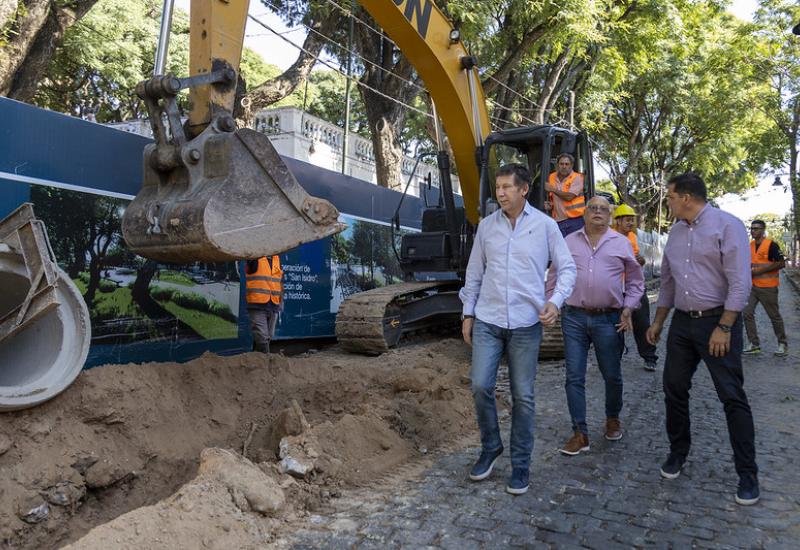 municipio de san isidro, plaza mitre, espacio publico, plaza, casco historico, arboles, arbol
