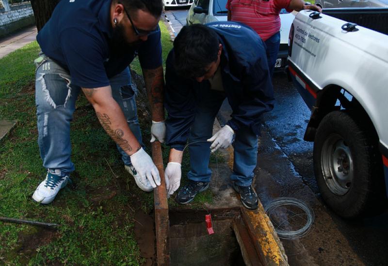 DESRATIZACIÓN SAN ISIDRO