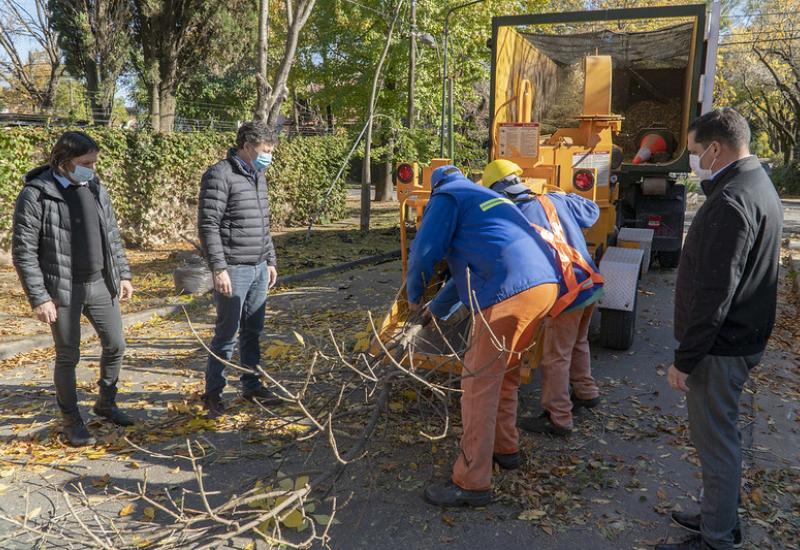 PLAN DE PODA 2021 SAN ISIDRO municipio de san isidro, poda, espacio publico, arboles, permiso, sustentable, sustentabilidad, hojas, otoño